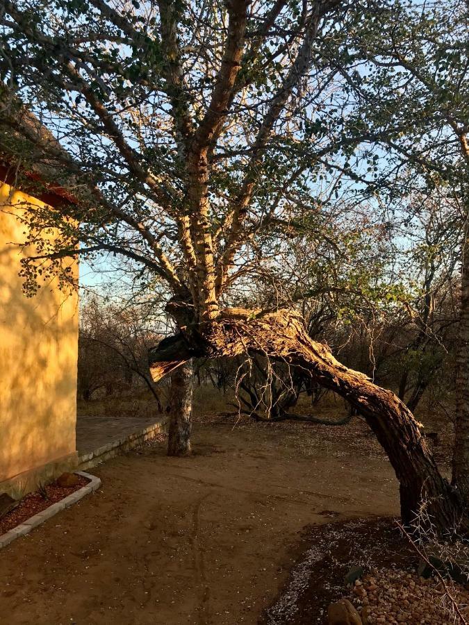 The Bush Hut Villa Hoedspruit Exterior photo